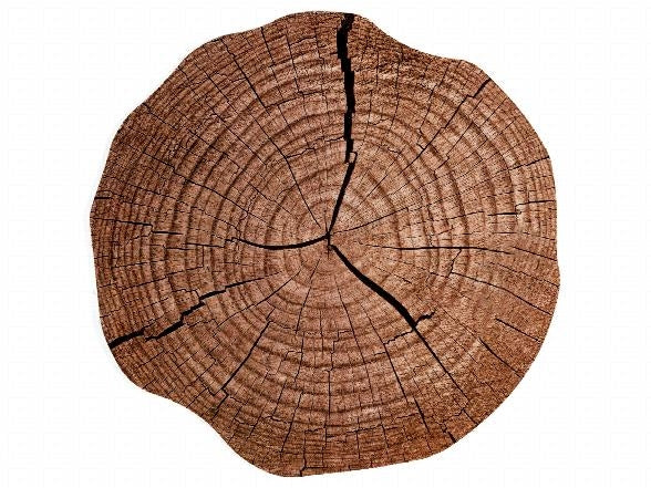 CONFEZIONE 6 TOVAGLIETTE 38CM