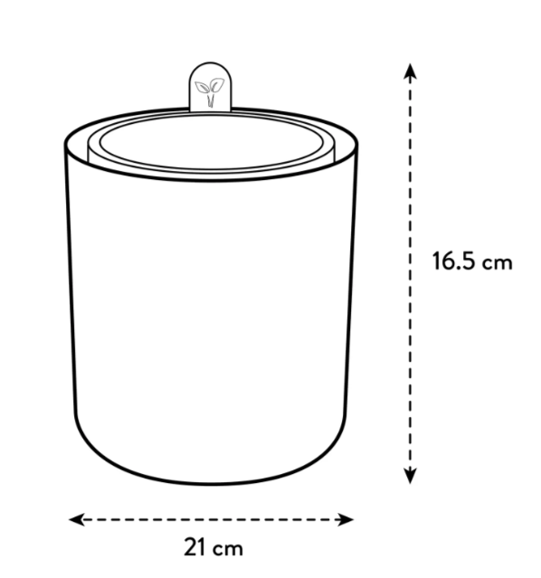 VASO BASILICO AL COPERTO - BOUNCY BASIL