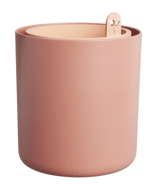 VASO BASILICO AL COPERTO - BOUNCY BASIL