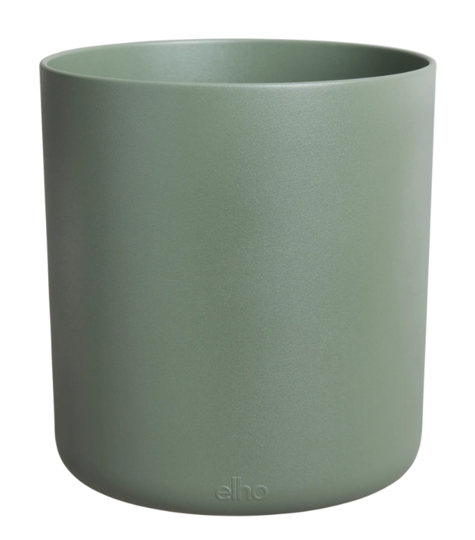 VASO BASILICO AL COPERTO - BOUNCY BASIL