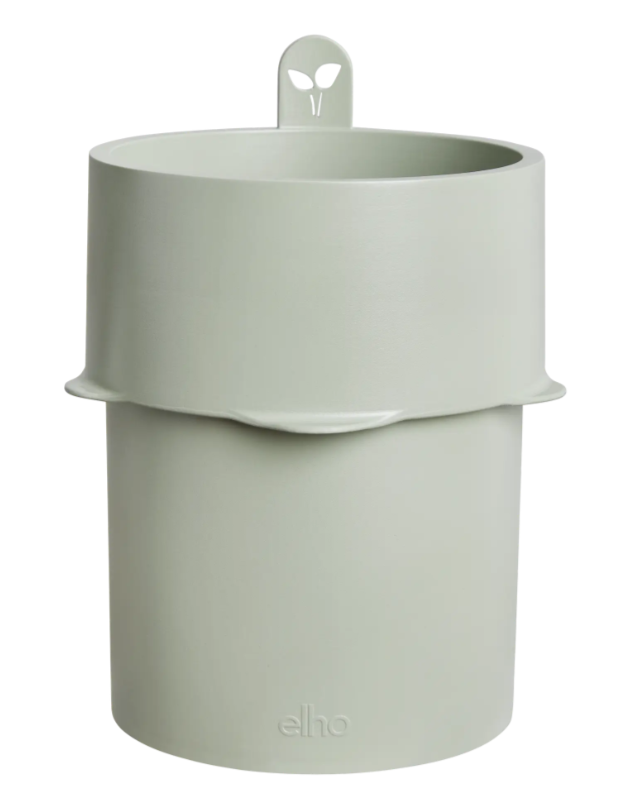 VASO BASILICO AL COPERTO - BOUNCY BASIL