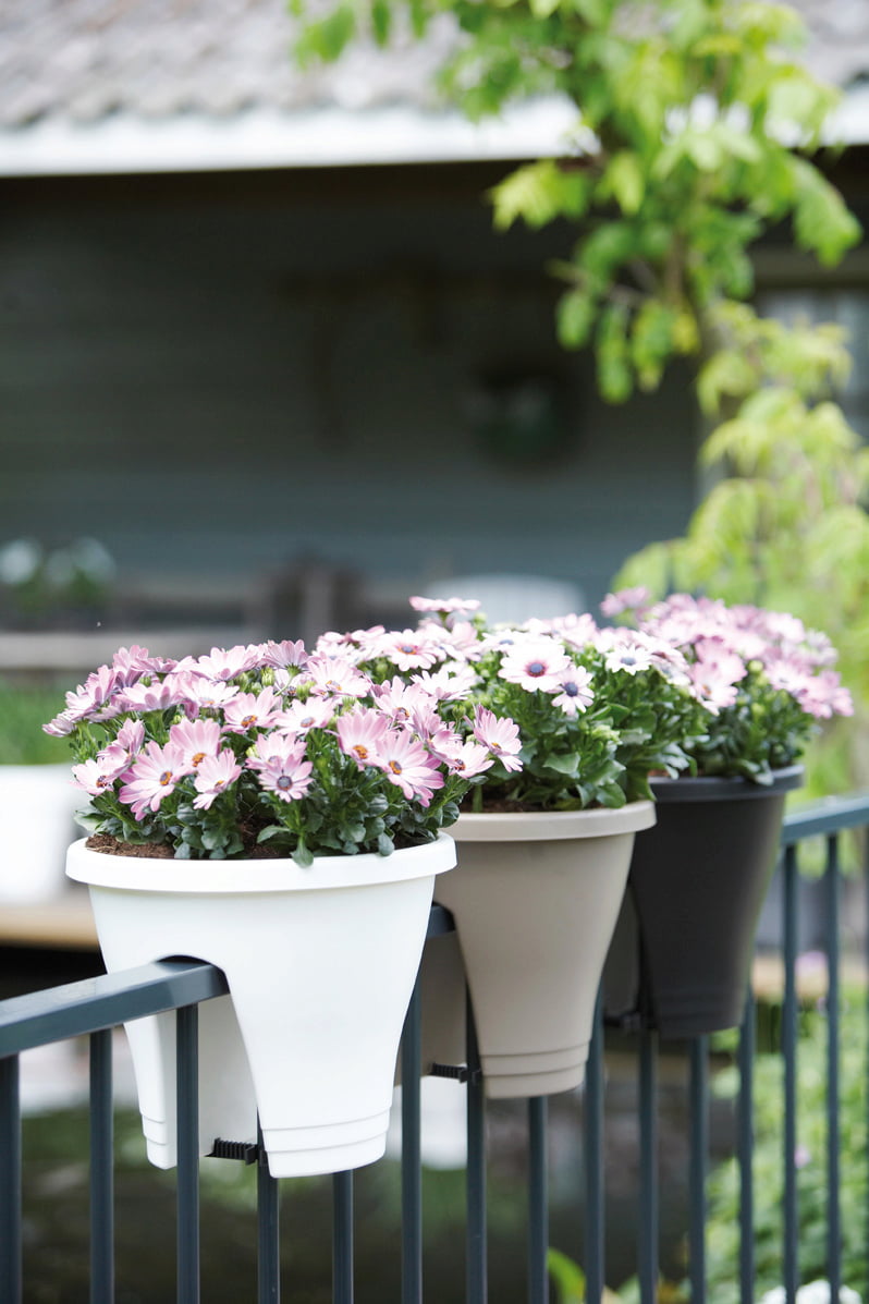 VASO CORSICA FLOWER BRIDGE 60cm ANTRACITE/30cm BIANCO