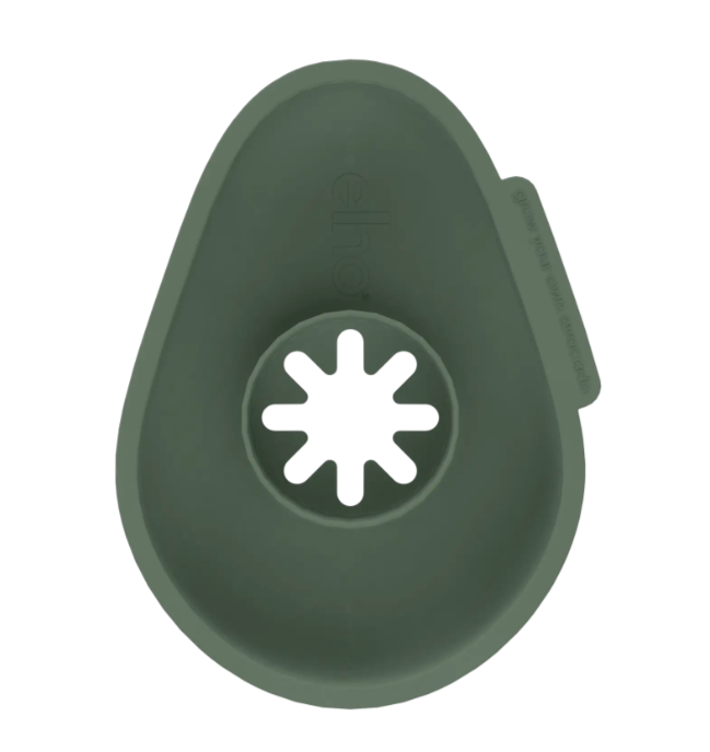 VASO PER COLTIVAZIONE AVOCADO - AMAZING AVOCADO FLOATER