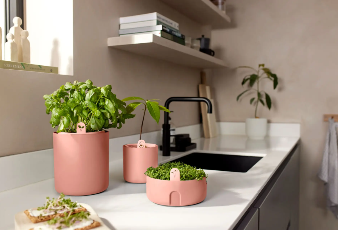 VASO PER AVOCADO - AMAZING AVOCADO POT