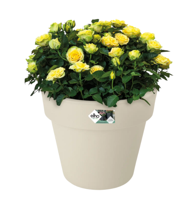 VASO GREEN BASIC TOP PLANTER (MISURE VARIE BIANCO/NERO)