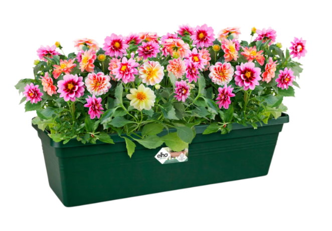 VASO GREEN BASICS TROUGH (MISURE VARIE ANTRACITE/TERRA/VERDE)