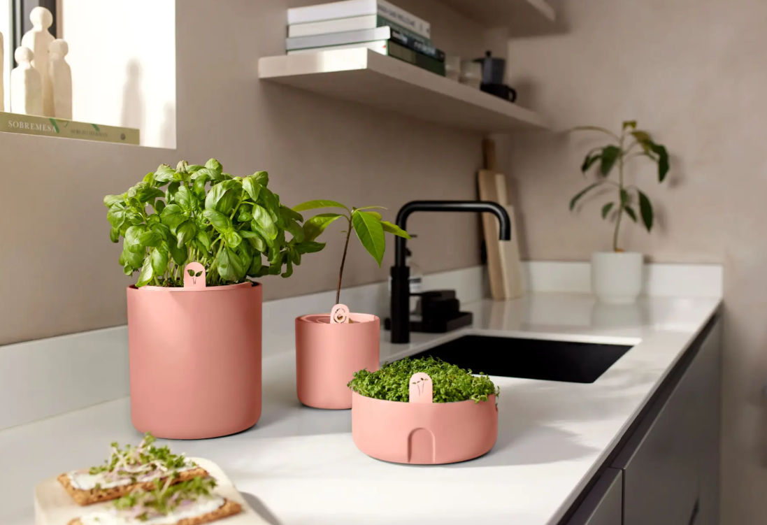 VASO COLTIVAZIONE VERDURE AL COPERTO - MAGIC MICROGREENS