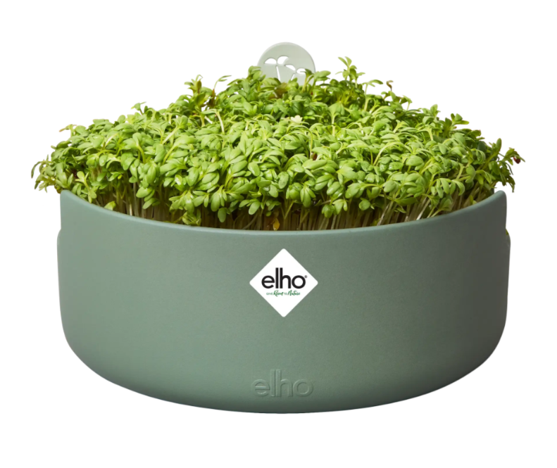 VASO COLTIVAZIONE VERDURE AL COPERTO - MAGIC MICROGREENS