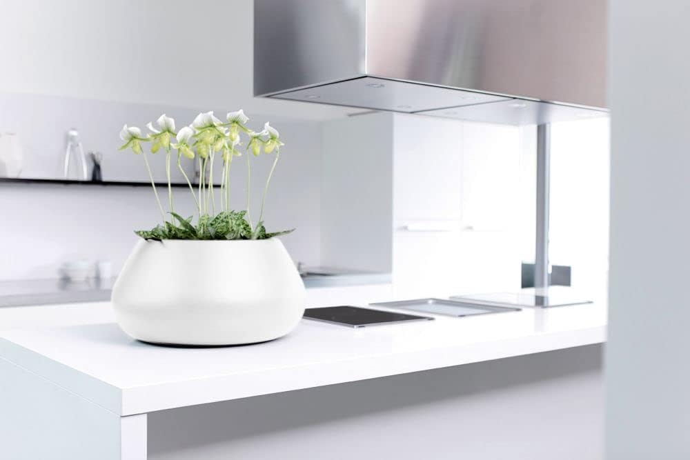 VASO PURE CONE BOWL 60