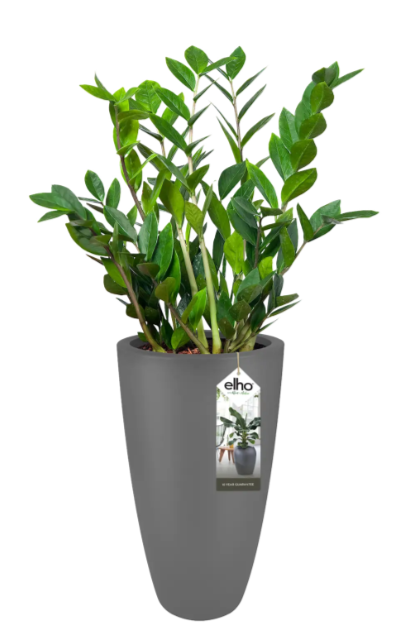 VASO PURE SOFT ROUND HIGH 30cm ANTRACITE