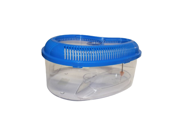 VASCHETTA CON COPERCHIO ACQUARIO TARTARUGHE TARTARUGHIERA