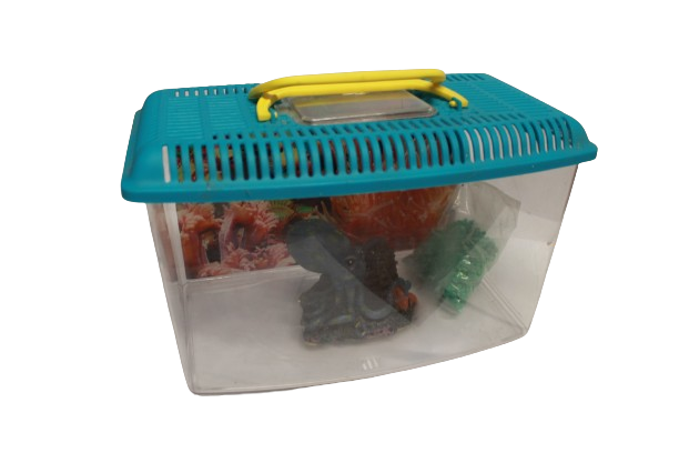 VASCHETTA ACQUARIO PER PESCI CON COPERCHIO