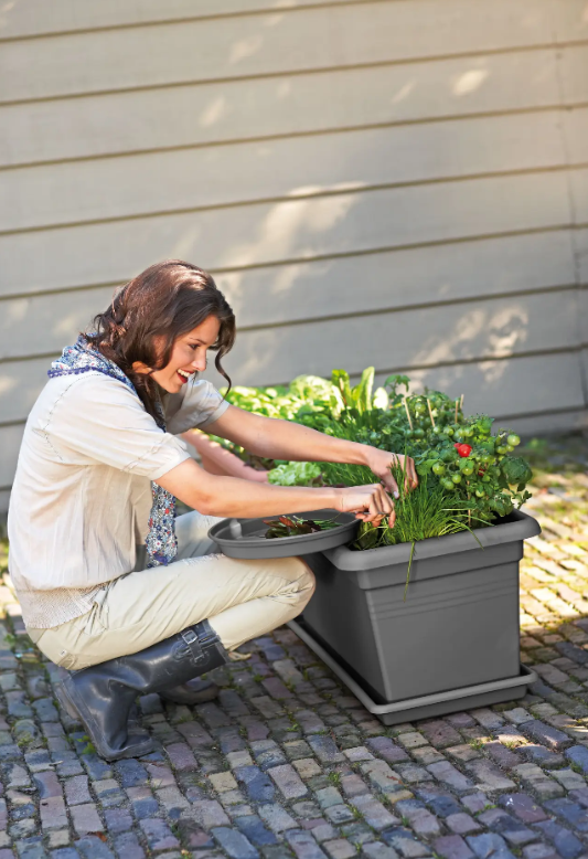 VASO GREEN BASICS GARDEN XXL (MISURE VARIE LIVING BLACK)