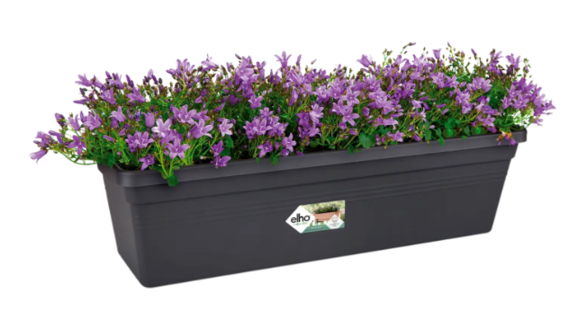 VASO GREEN BASICS TROUGH (MISURE VARIE ANTRACITE/TERRA/VERDE)