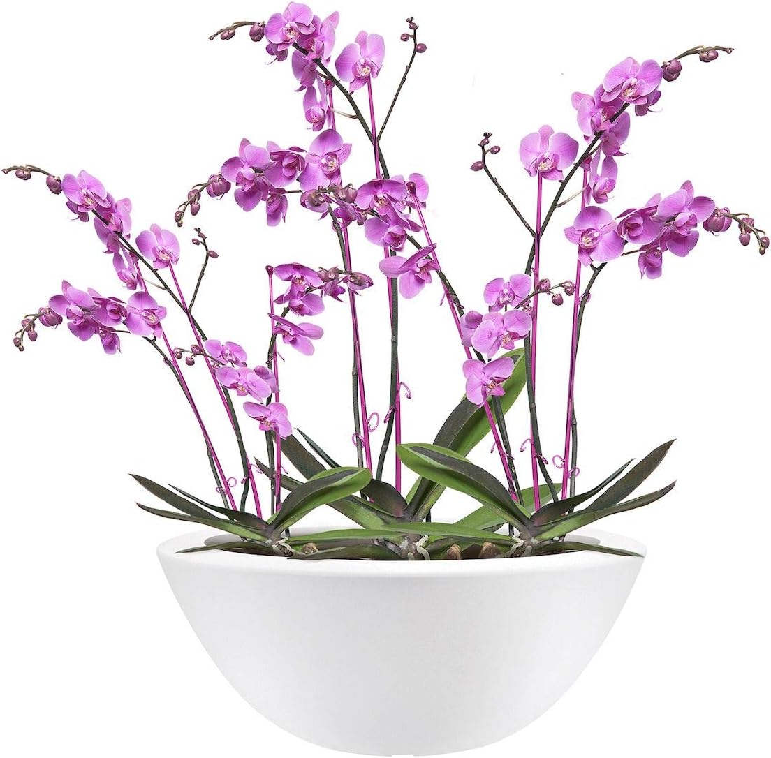 VASO PURE SOFT BOWL 50cm BIANCO