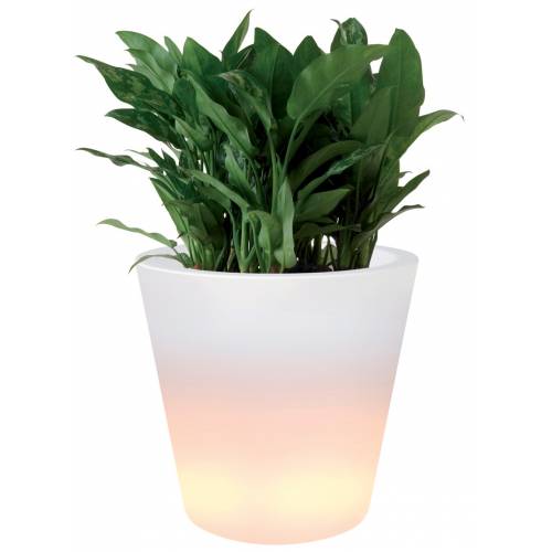 VASO LUMINOSO PURE STRAIGHT LED LIGHT (Ø45cm/50cm)